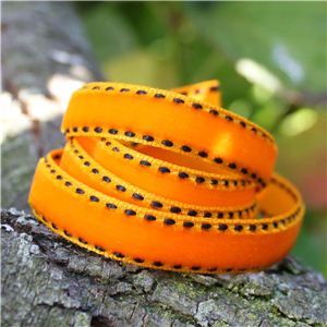 Velvet Saddle Stitch Ribbon - Sunset/Black